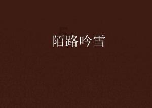 极品飞车20